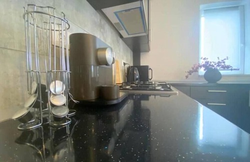 Timisoara Apartment | ForestHouse 1 Apartment Free Parking