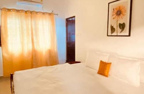 Fort Kochi Bed & Breakfast | Fortis Rooms