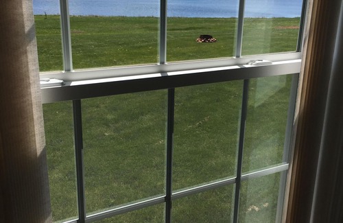 Bay Fortune Cottage | Fortunate View Summer Home overlooking Bay Fortune Harbour and Fortune River