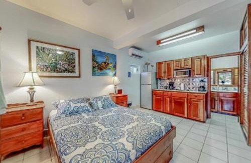 San Pedro Apartment | Frangipani 8 at Caribe Island Gold Standard Certified
