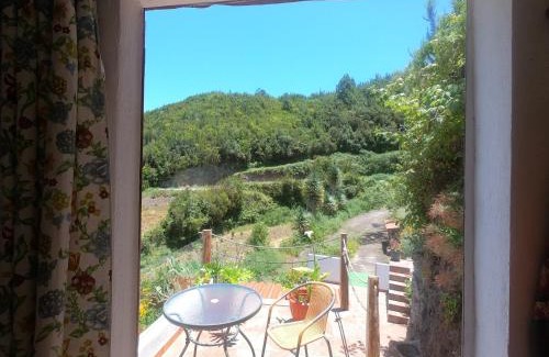 Franceses House | FREEDOM