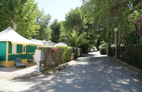 Le Grau-dʼAgde Cottage | Friendly campsite near the popular seaside resort of Le Cap d'Agde