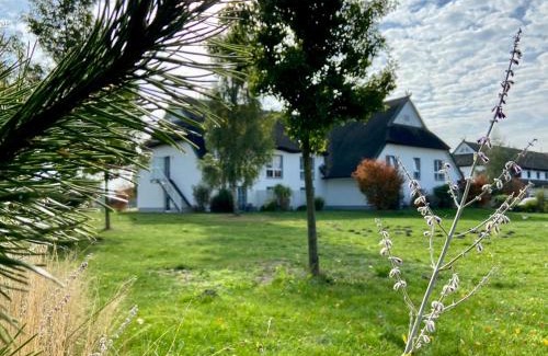Trassenheide Hotel | Friesenhof Hotel-Restaurant-Reitanlage