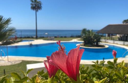 Sitio de Calahonda Apartment | Frontline Beach ground floor with privet garden, Mi Capricho 16
