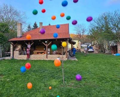 Petrovaradin House | Fruška house