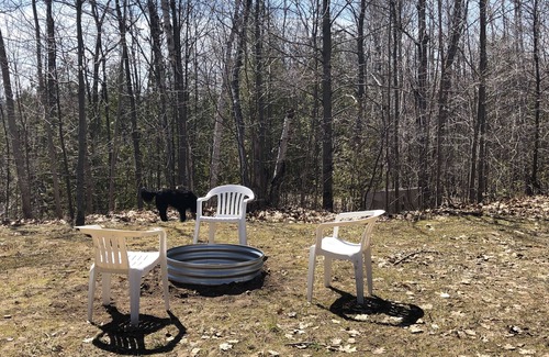 Carp Lake House | Full Home Rental on Paradise Lake. 2 Acres/60 ft of Lakefront & Private Dock