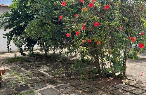 Sao Pedro da Aldeia House | Fun and Revelry in Complete Devotion