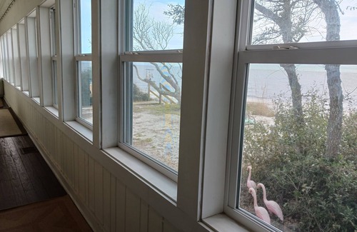 Alligator Point House | ☀Fun Flamingo-Beachfront-Quiet Retreat, Best Views