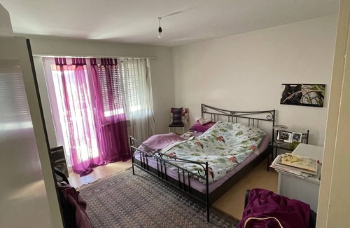 Romanshorn Apartment | Furnished apartment with everything