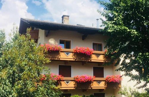 Zell am Ziller Apartment | Gästehaus Neuhauser
