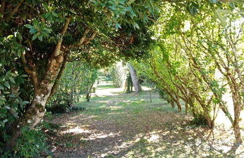 Vieilles-Maisons-sur-Joudry House | Gîte de la Belle Étoile