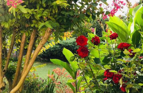 Tourtenay House | Gîte AU BOOM COEUR forfait Spa, Dîner & Petit-déjeuner inclus