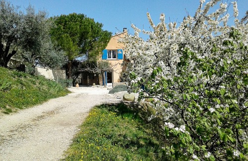 Mirabel-aux-Baronnies House | Gîte Bleu among olive trees