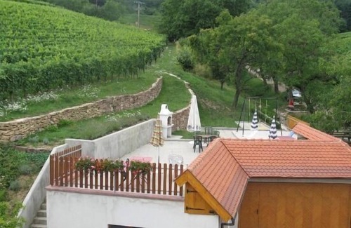 Hunawihr Cottage | Gîte Chez Le Vigneron for 4 people