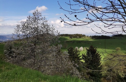 Fay-sur-Lignon Bed & Breakfast | Gîte d'étape for hikers, riders, nature and fresh air