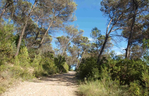 Cannes-et-Clairan Cottage | Gîte du Berger - Mas de Coste