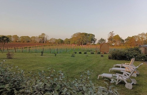 Pouldergat Cottage | Gîte for 6 people, vineyard view, close to beaches