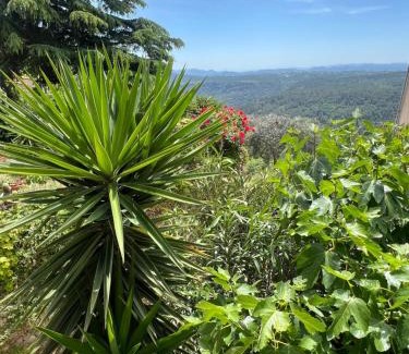 Saint-Cezaire-sur-Siagne Apartment | Gîte Le Figuier de Saint Ce Jardinet Terrasse Vue