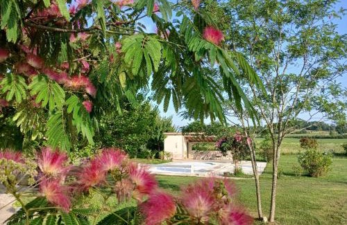 Saint-Georges House | Gîte - Le Mas de Flore
