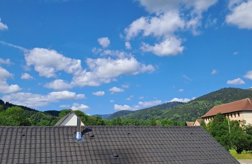 Breitenbach-Haut-Rhin Apartment | Gîte "les Combles"