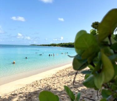 Anse-Bertrand House | Gîte Malaka - Proche des plages et restaurants