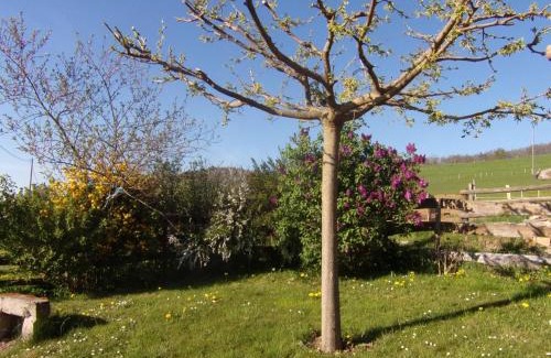 Neulise House | Gîte rural confortable avec terrasse, proche de Roanne - FR-1-496-376