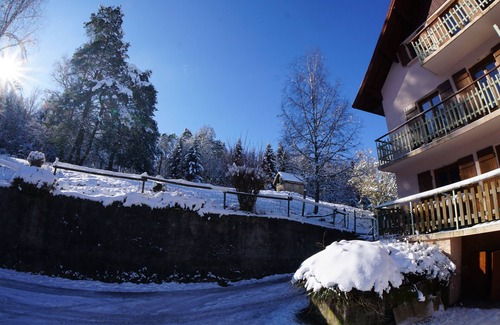 Dommartin-les-Remiremont Cottage | Gîte Tiffanie - SPA Jacuzzi Sauna Fishing pond