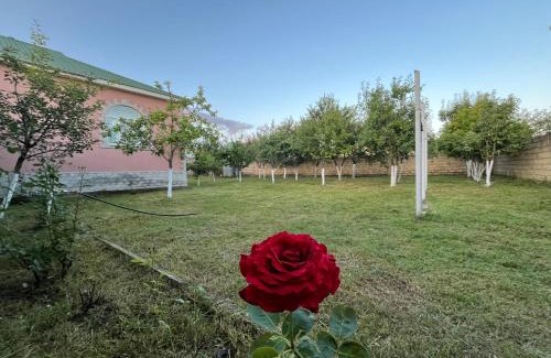 Gabala House | Gabala Home