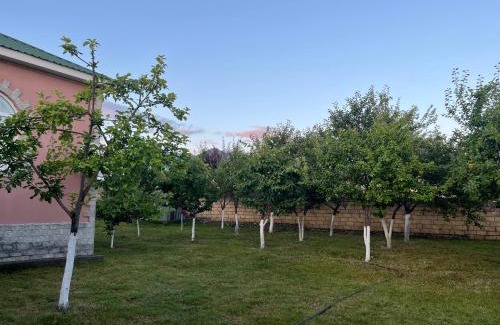 Gabala House | Gabala Home