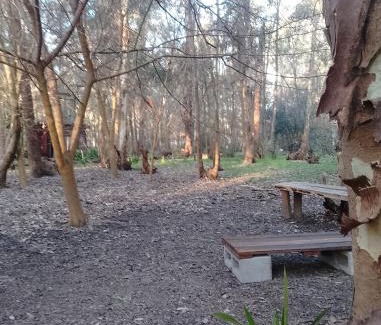 Partido de Monte House | Galilea