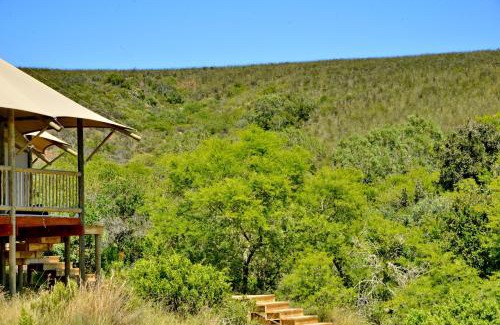 Brandwag Hotel | Garden Route Safari Camp