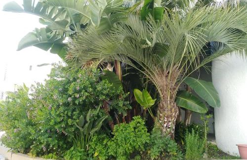 Quarteira Apartment | Garden View Vilamoura Apartment