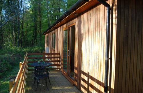 Gatehouse-of-Fleet Cottage | The Shack (Cosyholidaycottages)