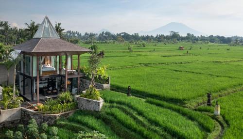 Ubud Resort | Gdas Bali Health and Wellness Resort - Adult Only