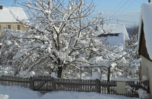 Stammbach Apartment | Gemütliche Ferienwohnung (75qm) mit Zugang zu Spielplatz