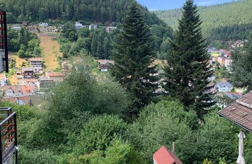 Bad Wildbad Apartment | Gemütliches Einzimmer-Apartment 33