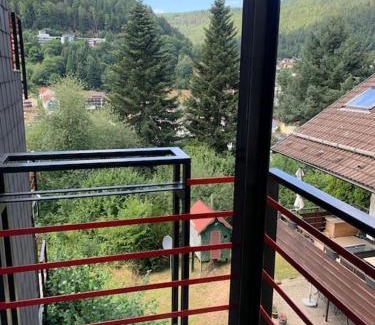 Bad Wildbad Apartment | Gemütliches Einzimmer-Apartment 33