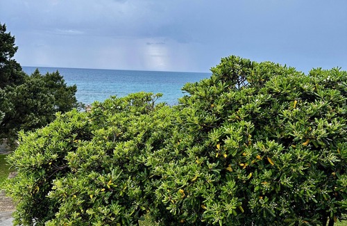 Kanelion Apartment | Genari Beach Apartments – Sea View Apartment for Couples or Small Families