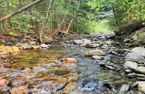 Jeffersonville House | Geodome 1min to Smuggler's Notch with hot tub & River