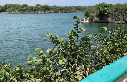Villa Hermosa Villa | George's paradise 10 minutes from the beach and 2 minutes from excursions!