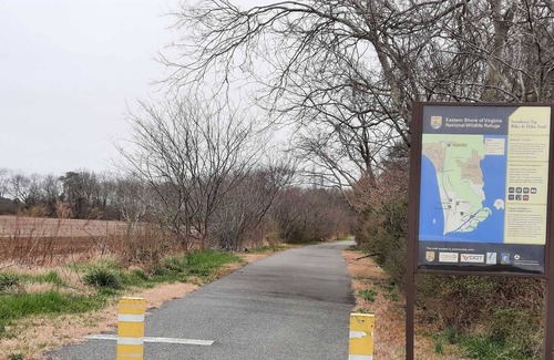 Cape Charles House | Get Away From It All With 4 bedrooms and Two Full Baths