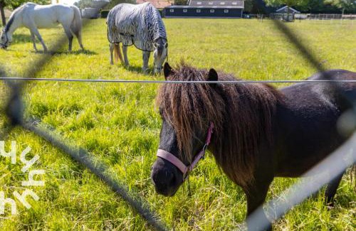 Serooskerke House | Gezellig 2-persoons vakantiehuis landelijk gelegen in Serooskerke