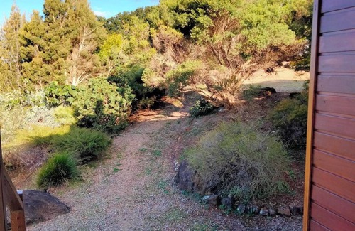 Federal Cottage | Girayir Cottage. Native gardens. Byron hinterland. Abundant wildlife.