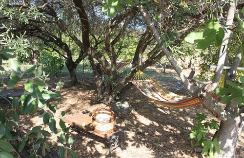 Ghisonaccia House | Gîte A Malba T6 with orchard 10 kms from the sea