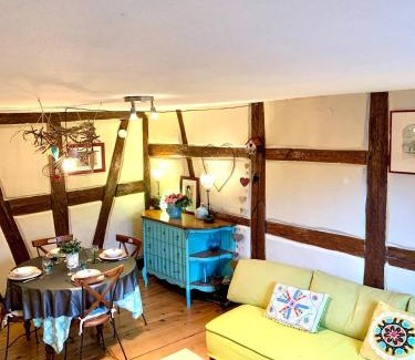 Riquewihr Apartment | Gite "Au coeur de Riquewihr - vue sur le vignoble" à Riquewihr
