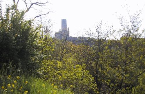 Albi House | gite de Pratgraussals