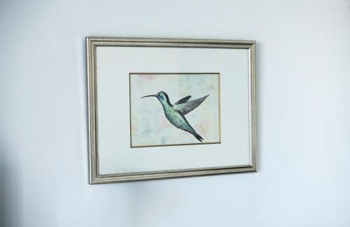 La Salvetat-Saint-Gilles Apartment | Gite Studio Le Colibri