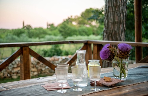 Manjadvorci Cabin | Glamping tent Bor