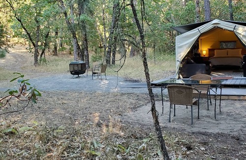 Murphy Apartment | Glamping Tent in The Woods
