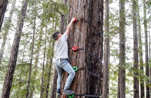 Gilroy House | Glamping Tipi in the Redwood Forest